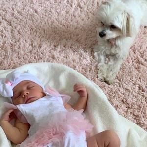 Meet your Posher, Greta